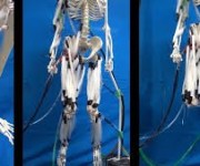 В Китае создали роботизированный скелет, возвращающий парализованным людям возможность ходить