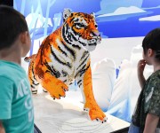 Выставка «Вымирающие животные» из деталей конструктора Лего прошла в Пекине