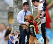 В Шанхае 4 собак-миноискателей проводили на пенсию