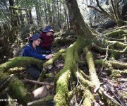 Ученые проверяют ситуацию с биоразнообразием в национальном парке Уишань