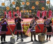 Фестиваль доцинии в уезде Ланьцан