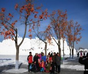 100-метровая снежная скульптура скоро появится в Харбине